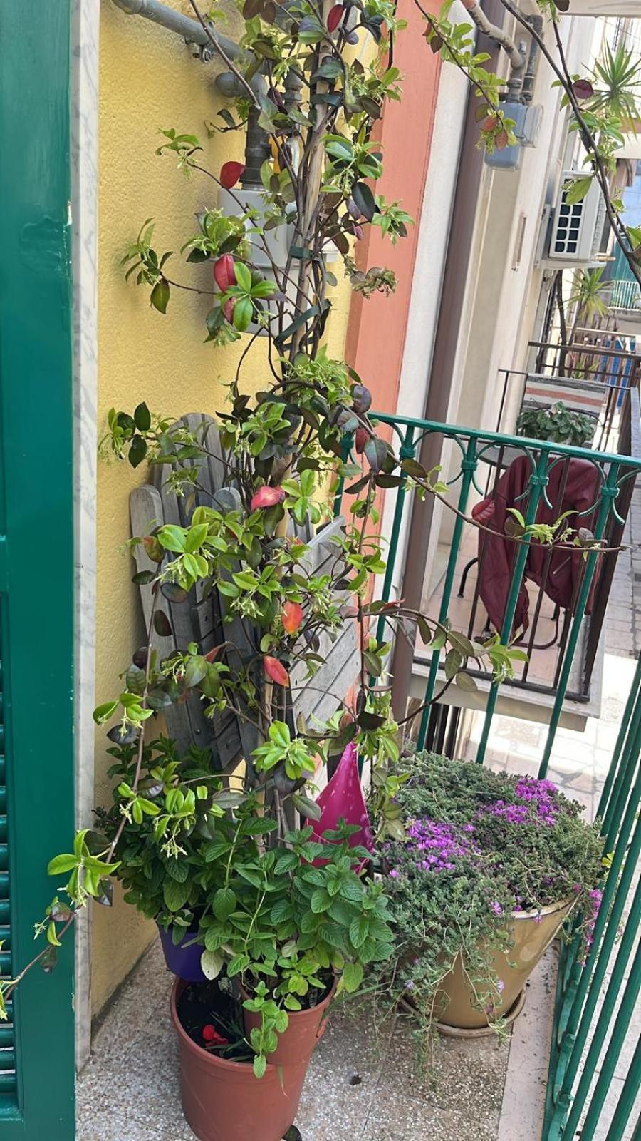 La Casa Di Nonna Sisina Villa Mola di Bari Luaran gambar