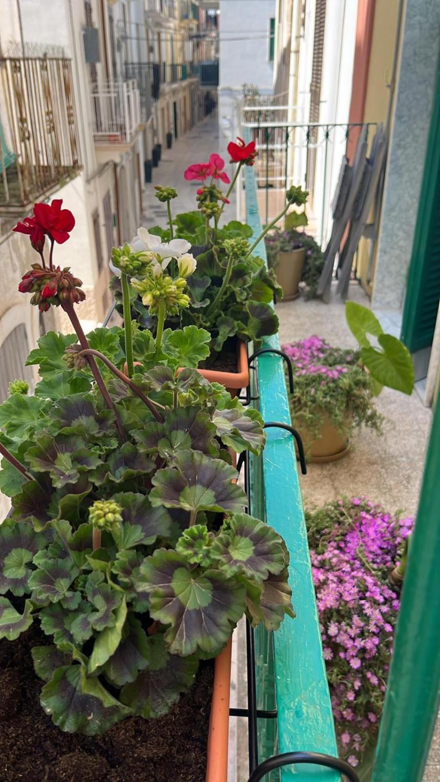 La Casa Di Nonna Sisina Villa Mola di Bari Luaran gambar