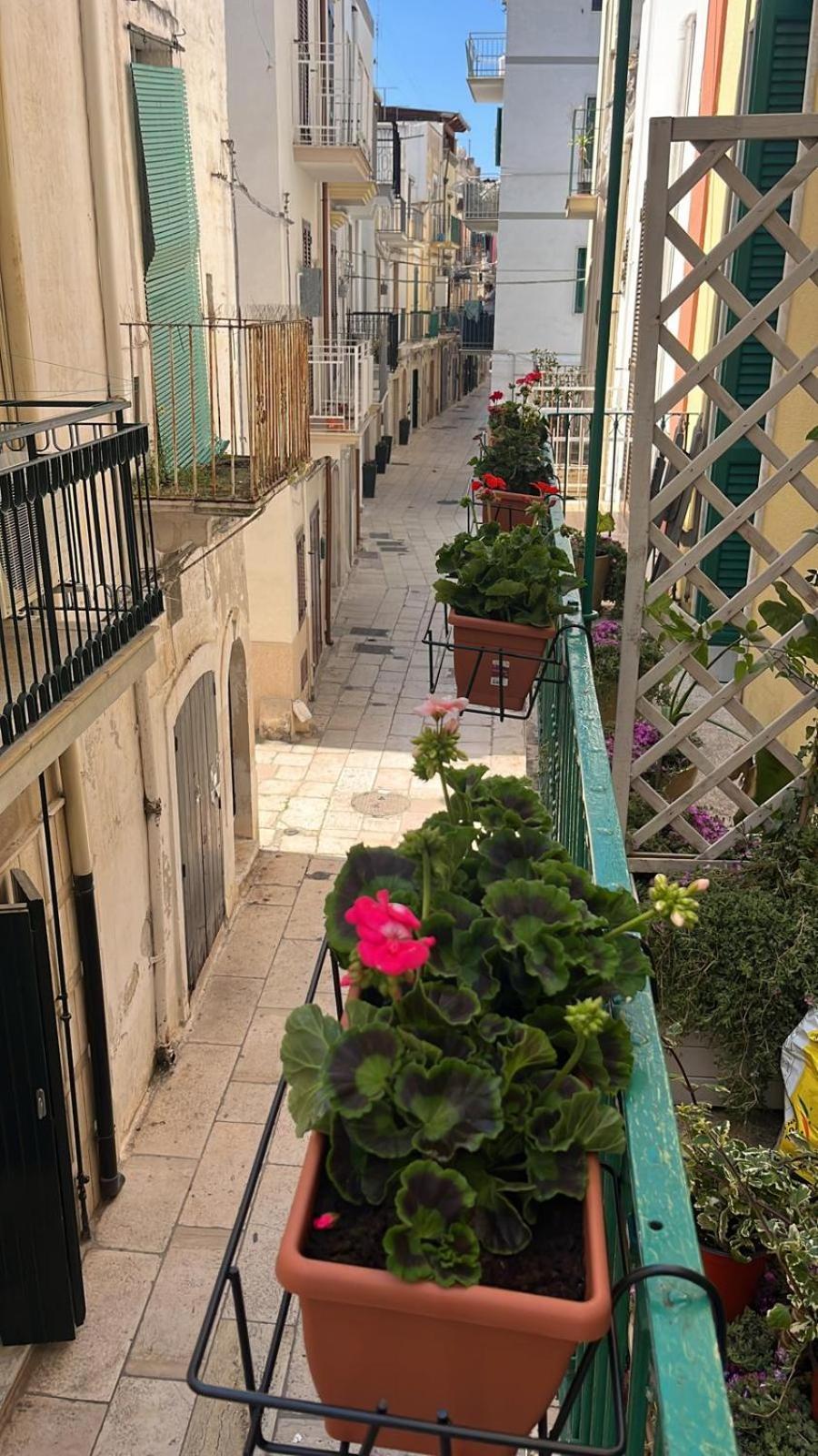 La Casa Di Nonna Sisina Villa Mola di Bari Luaran gambar
